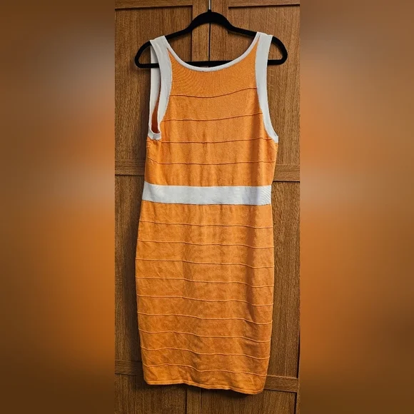 Ashley Stewart Color Block Stretch Sleeveless Bodycon Dress Plus Size 1X - Picture 2 of 3